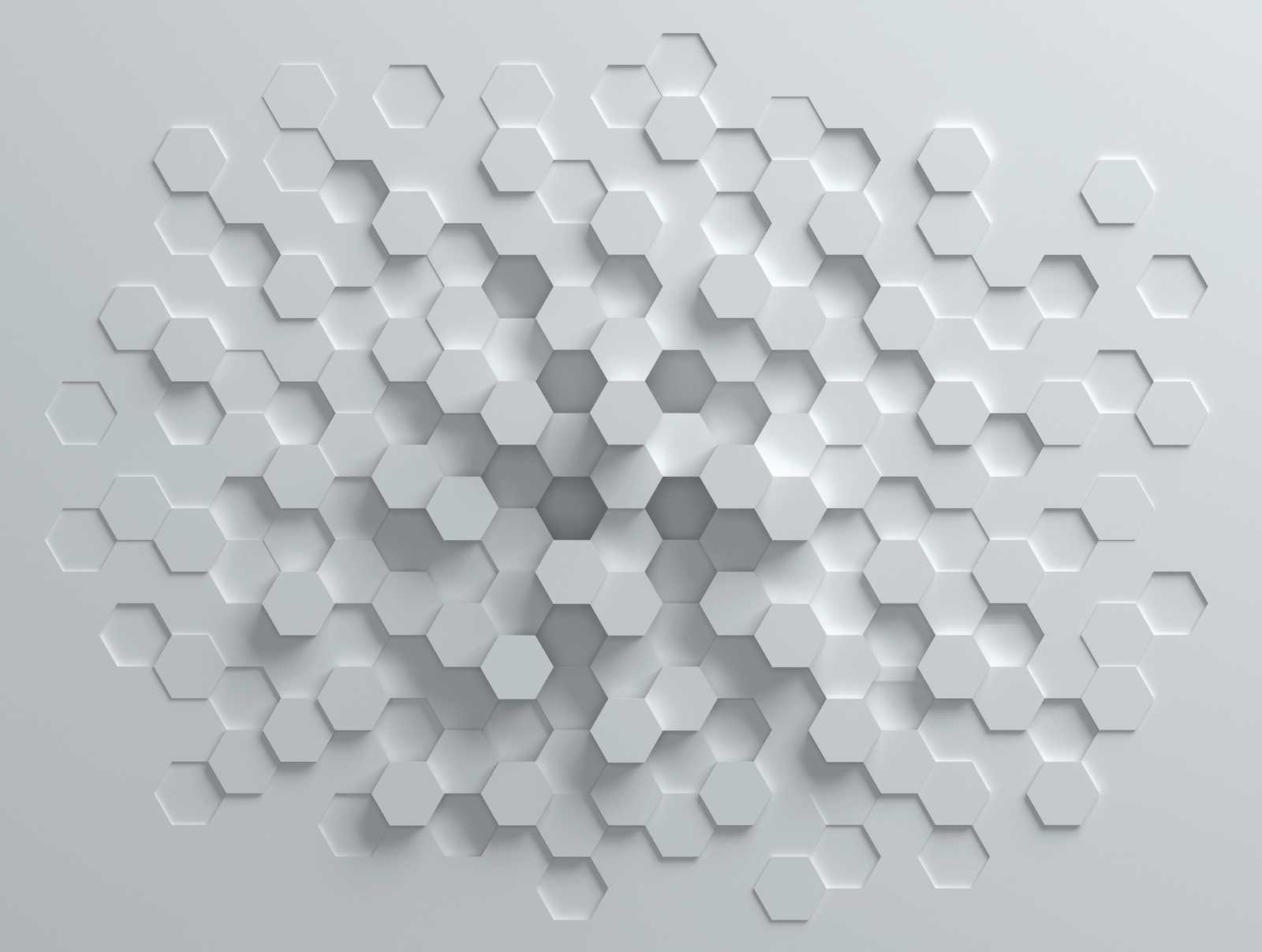             Tapeten-Neuheit | 3D Motivtapete mit Wabenmuster, Weiß & Grau
        