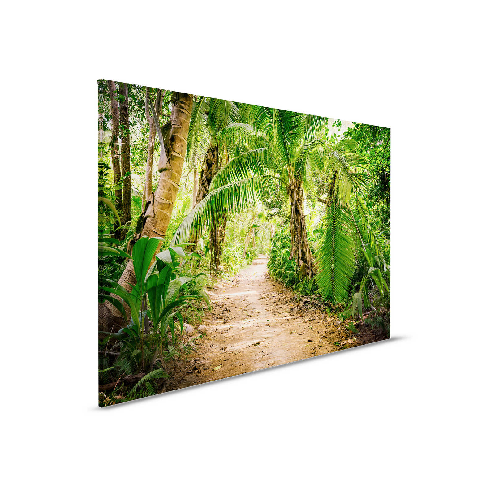         Leinwand mit Palmenweg durch eine tropische Landschaft – 0,90 m x 0,60 m
    