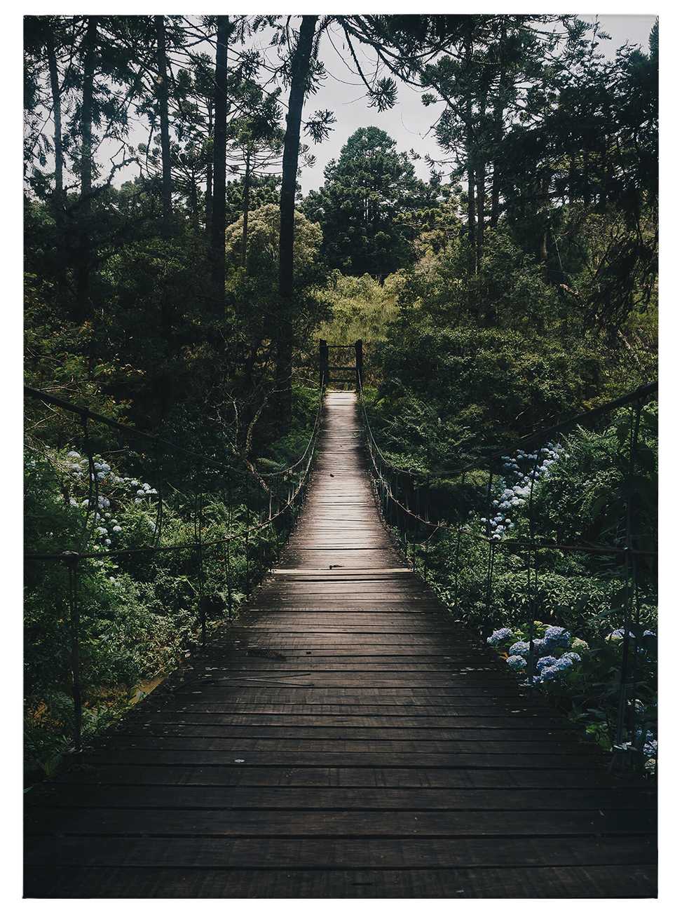             Leinwandbild Hängebrücke im Wald im Sommer – 0,50 m x 0,70 m
        