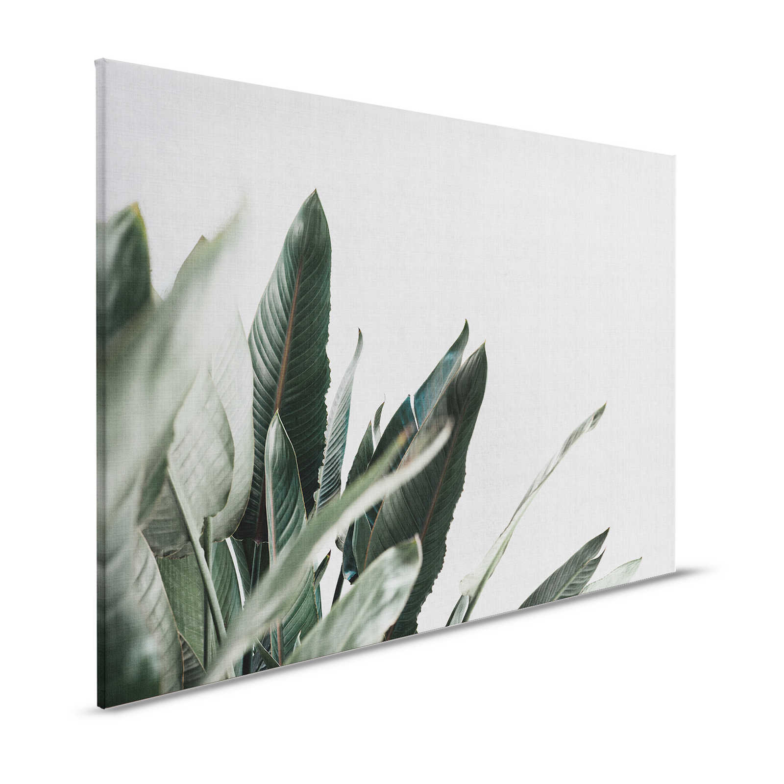 Urban jungle 1 - Leinwandbild mit Palmenblättern in naturleinen Optik – 1,20 m x 0,80 m
