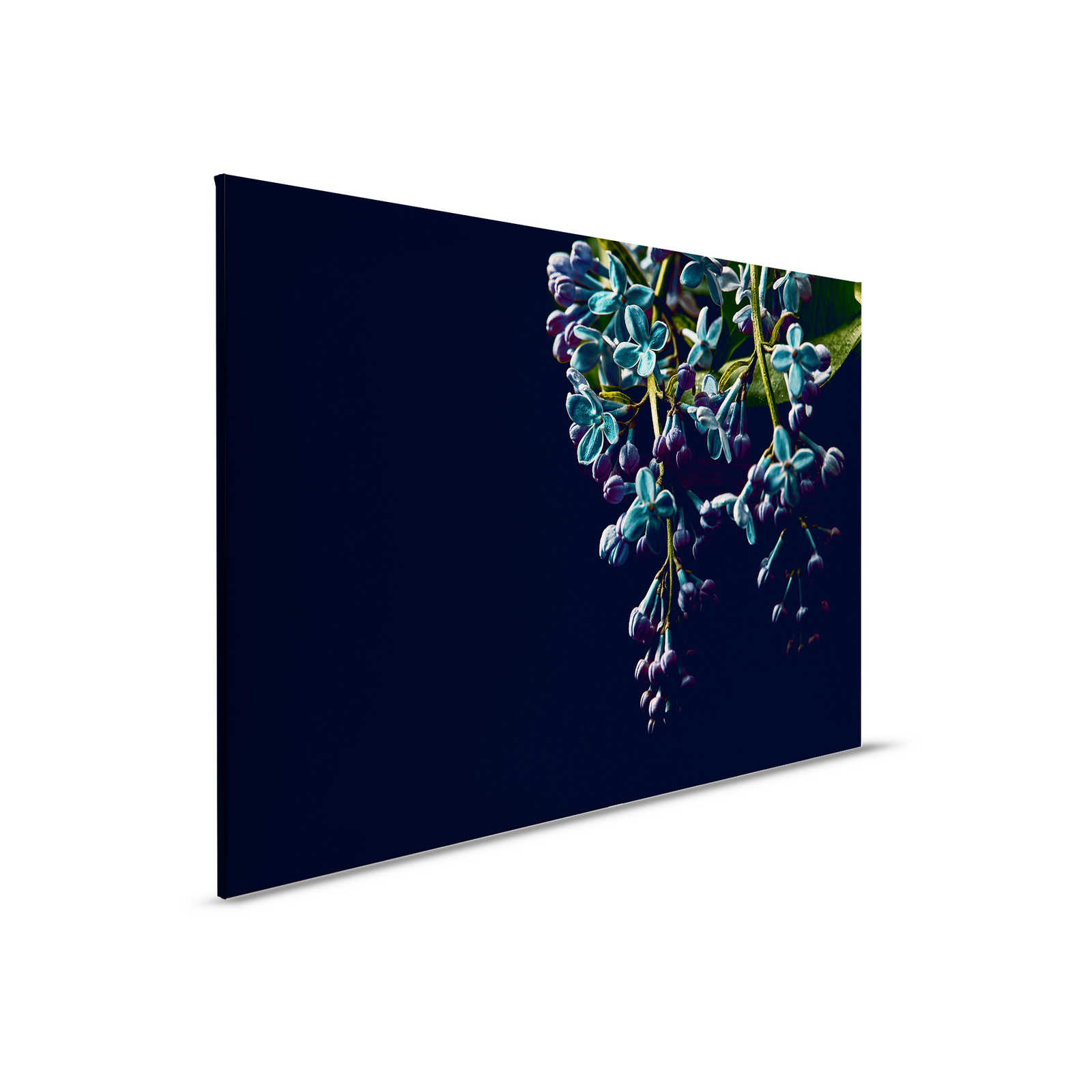         Leinwandbild Blumen auf schwarzen Hintergrund Close-Up – 0,90 m x 0,60 m
    