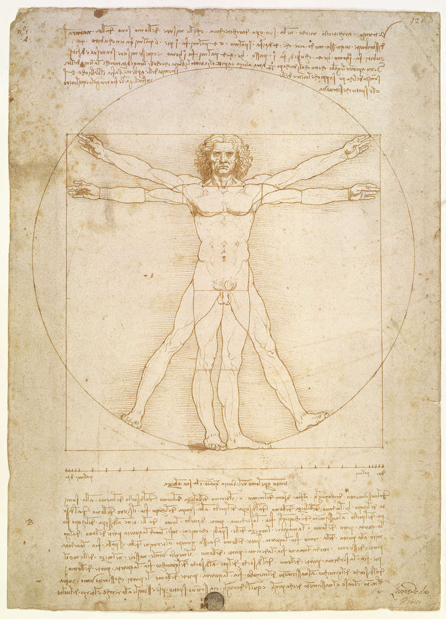             Fototapete "Der Vitruvianische Mensch" von Leonardo da Vinci
        