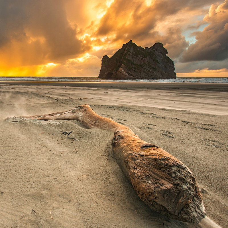 Fototapete Strand in Neuseeland – Perlmutt Glattvlies
