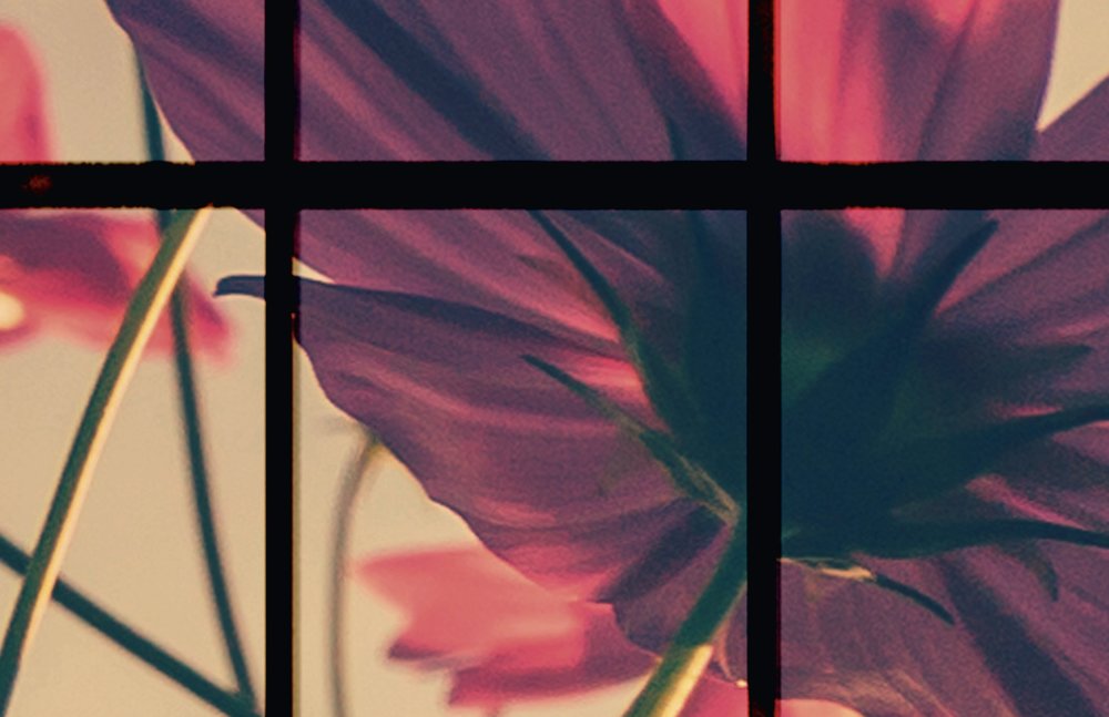             Meadow 1 - Sprossenfenster Fototapete mit Blumenwiese – Grün, Rosa | Perlmutt Glattvlies
        