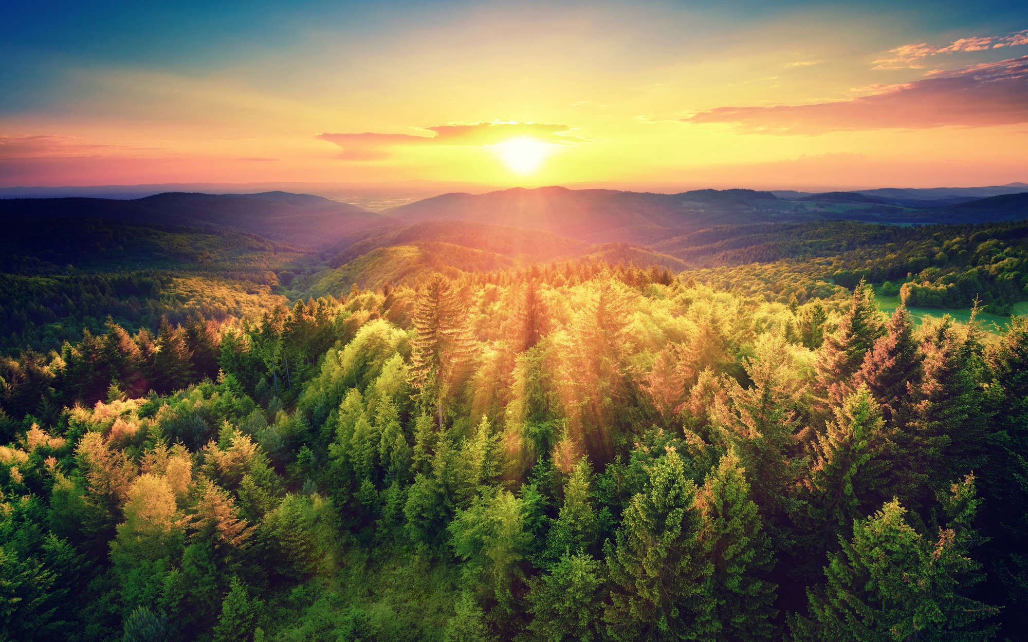             Natur Fototapete Wald im Sonnenuntergang – Perlmutt Glattvlies
        