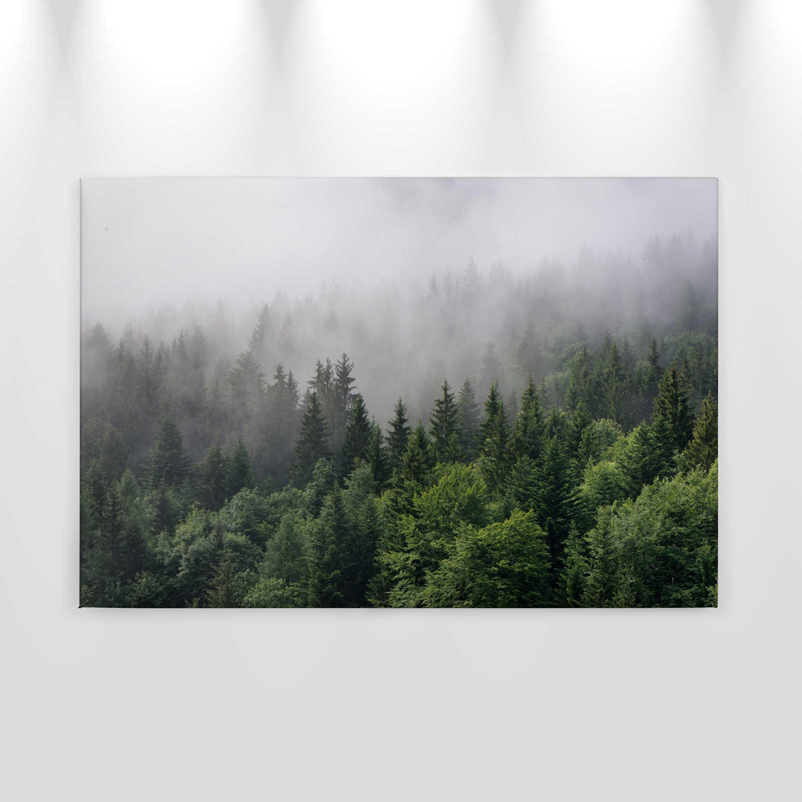             Leinwand mit Wald von oben an einem nebeligen Tag – 0,90 m x 0,60 m
        