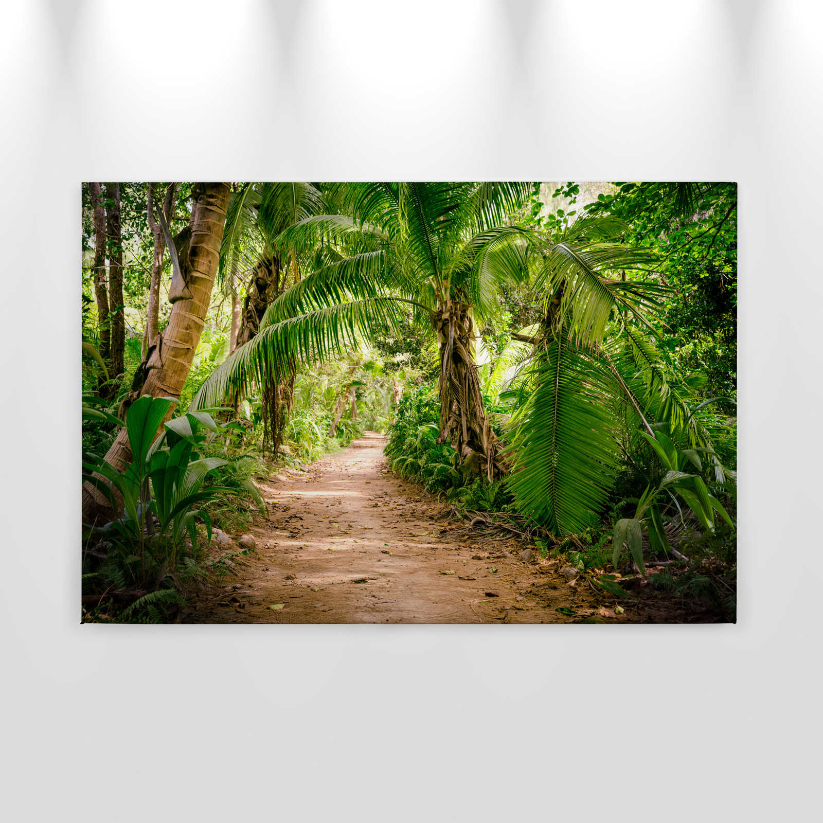             Leinwand mit Palmenweg durch eine tropische Landschaft – 0,90 m x 0,60 m
        