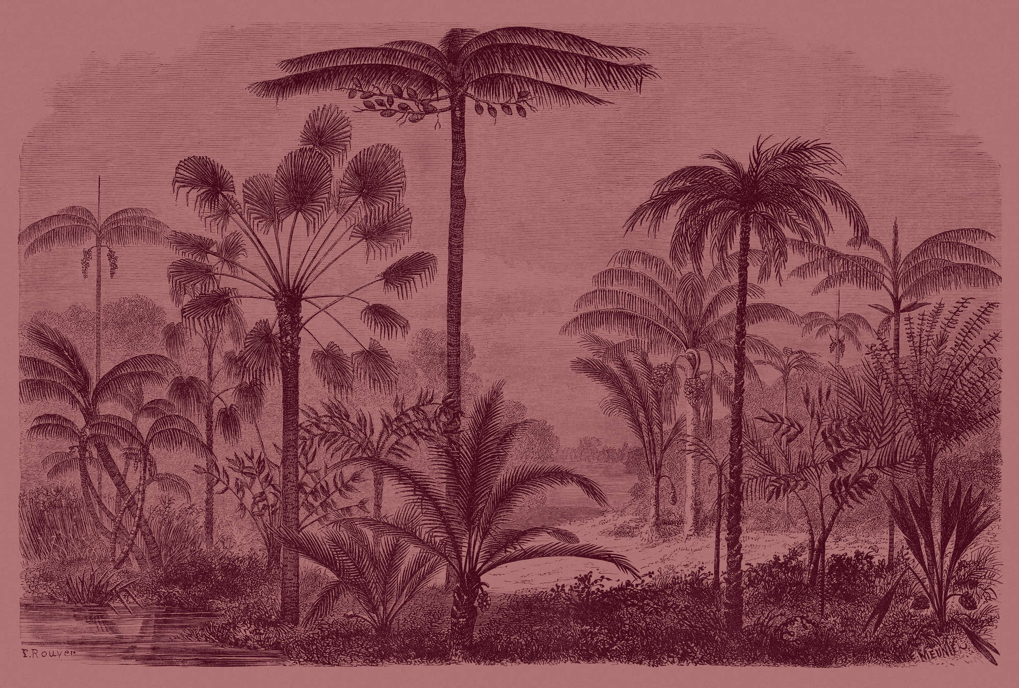             Jurassic 2 - Fototapete in Pappe Struktur Dschungelmotiv Kupferstich Rot – Rosa, Rot | Struktur Vlies
        