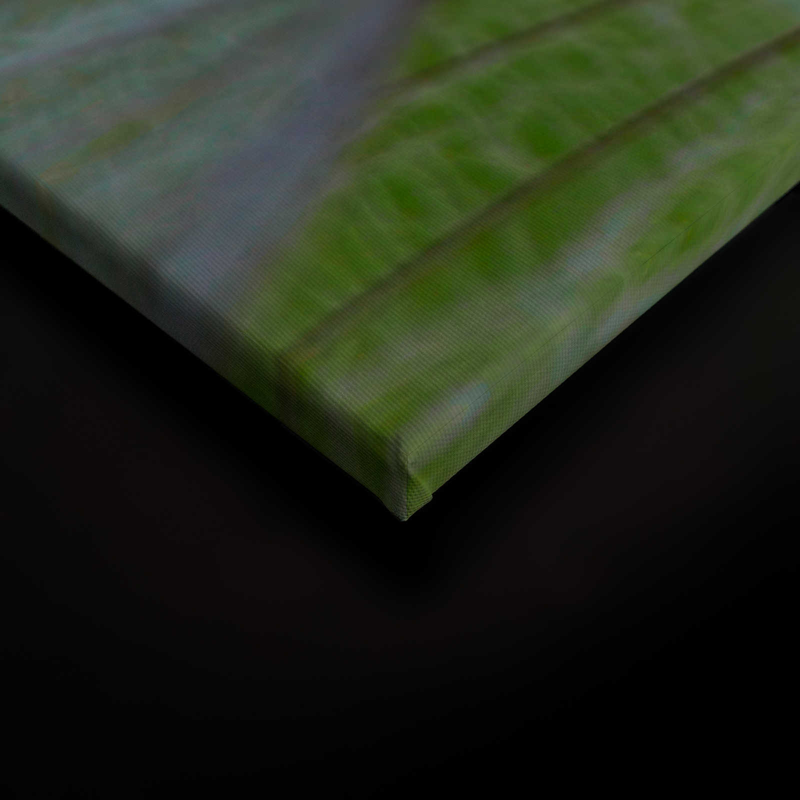             Leinwandbild Detailaufnahme mit Pusteblumen – 1,20 m x 0,80 m
        