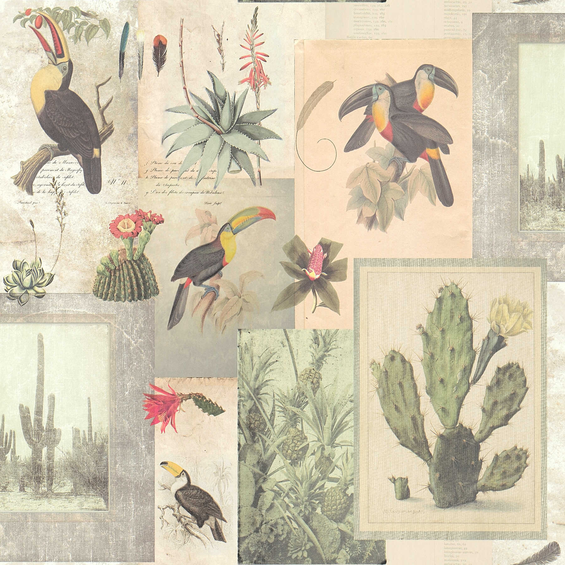         Vintage Tapete Tukan & Kaktus Collage – Beige, Grün
    