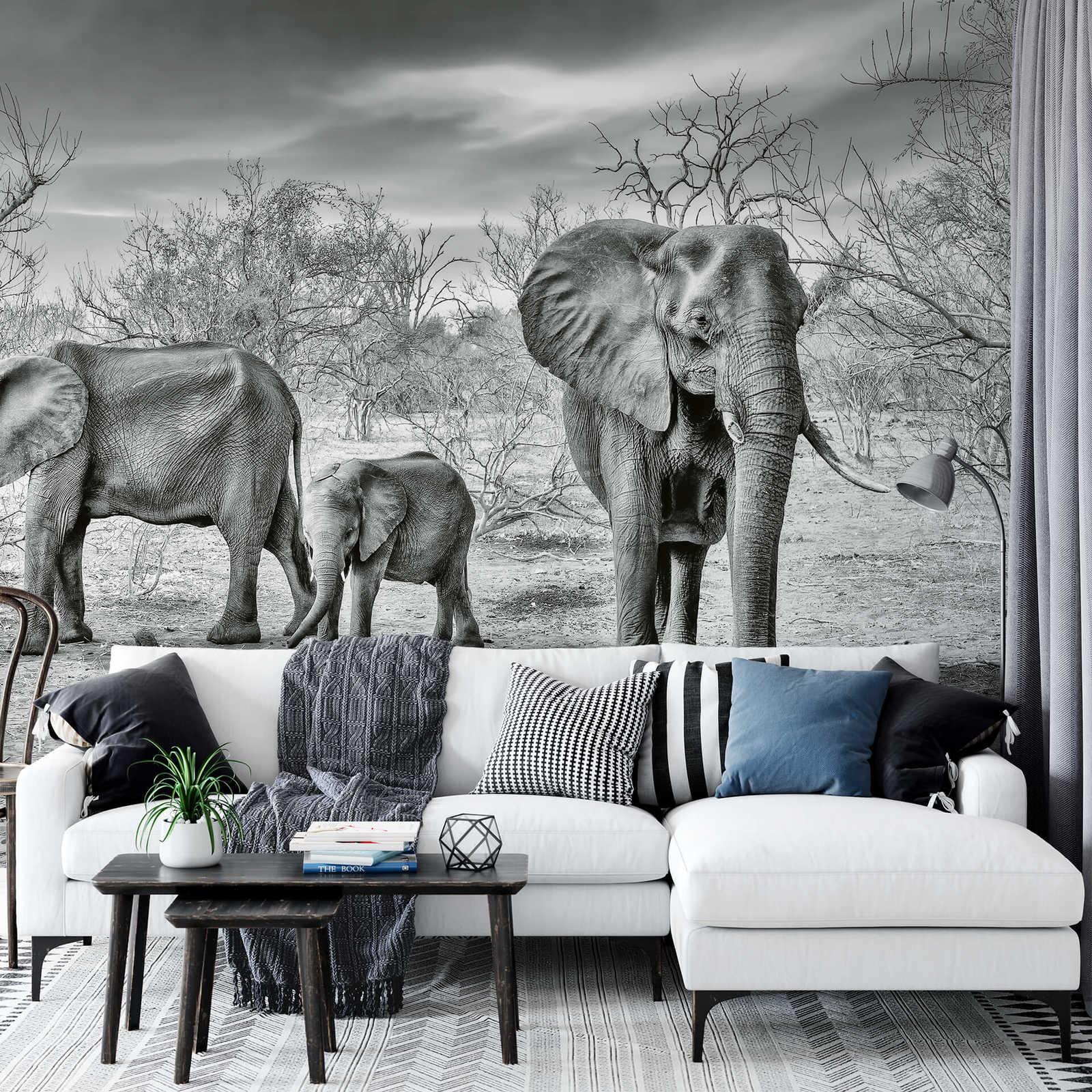             Fototapete Elefanten Familie – Grau, Weiß, Schwarz
        