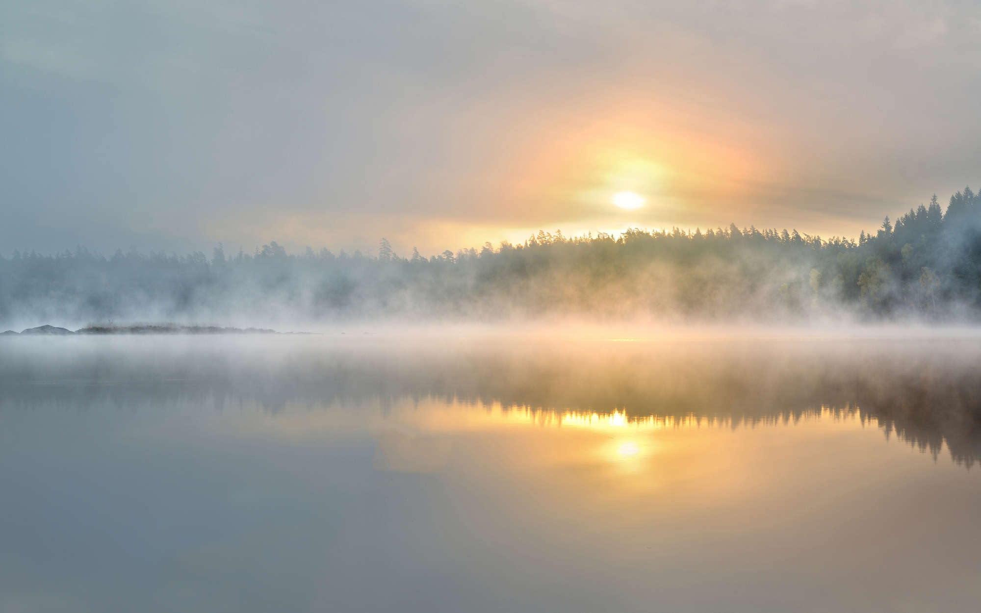             Fototapete nebeliger Morgen am See – Strukturiertes Vlies
        