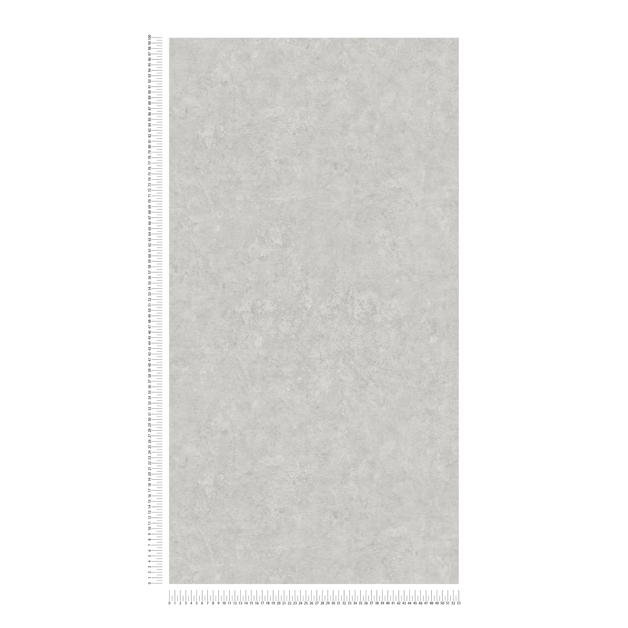             Betonoptik Vliestapete einfarbiges Muster – Grau
        