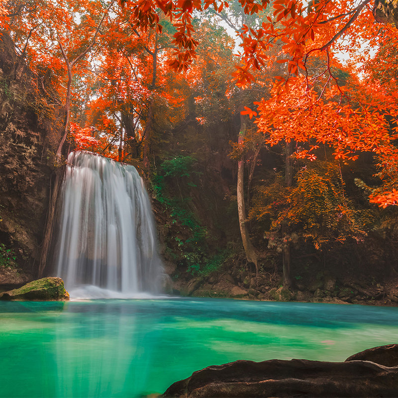 Natur Fototapete Wasserfall im Wald – Perlmutt Glattvlies
