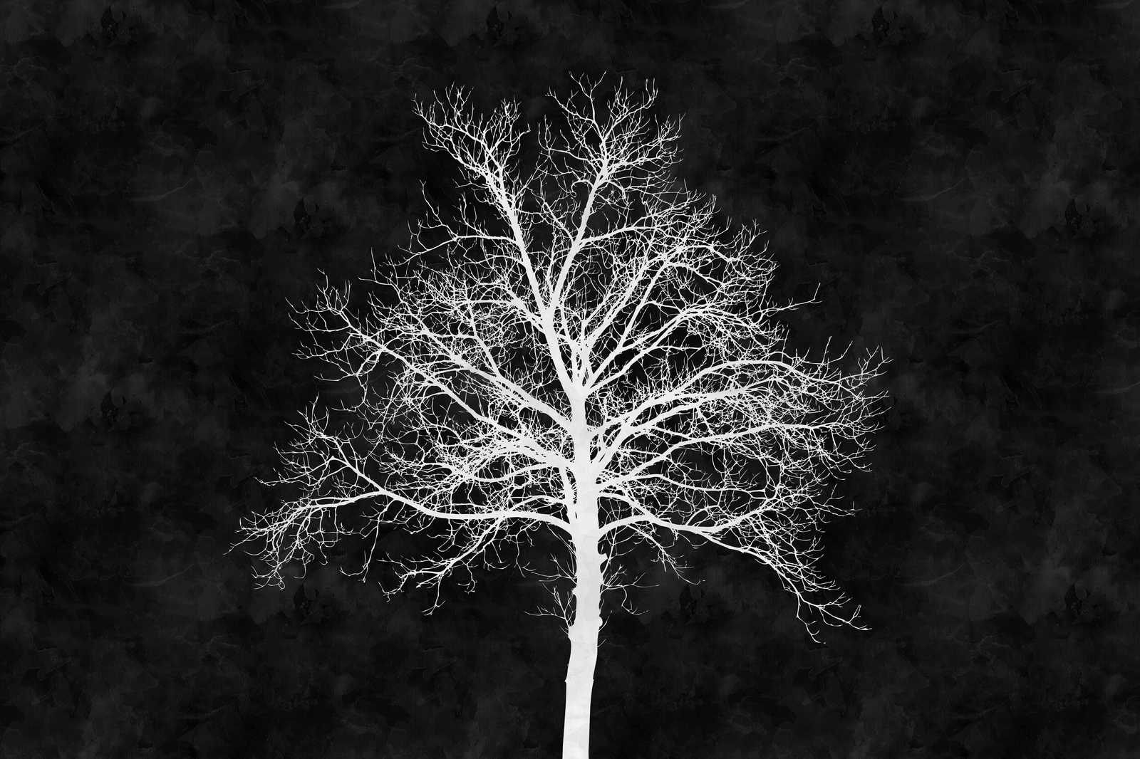             Schwarz-Weißes Leinwandbild weißer Baum – 0,90 m x 0,60 m
        