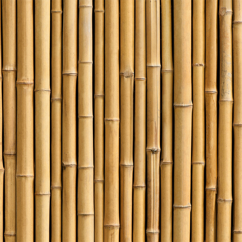 Fototapete Wand aus Bambus in Beige – Mattes Glattvlies
