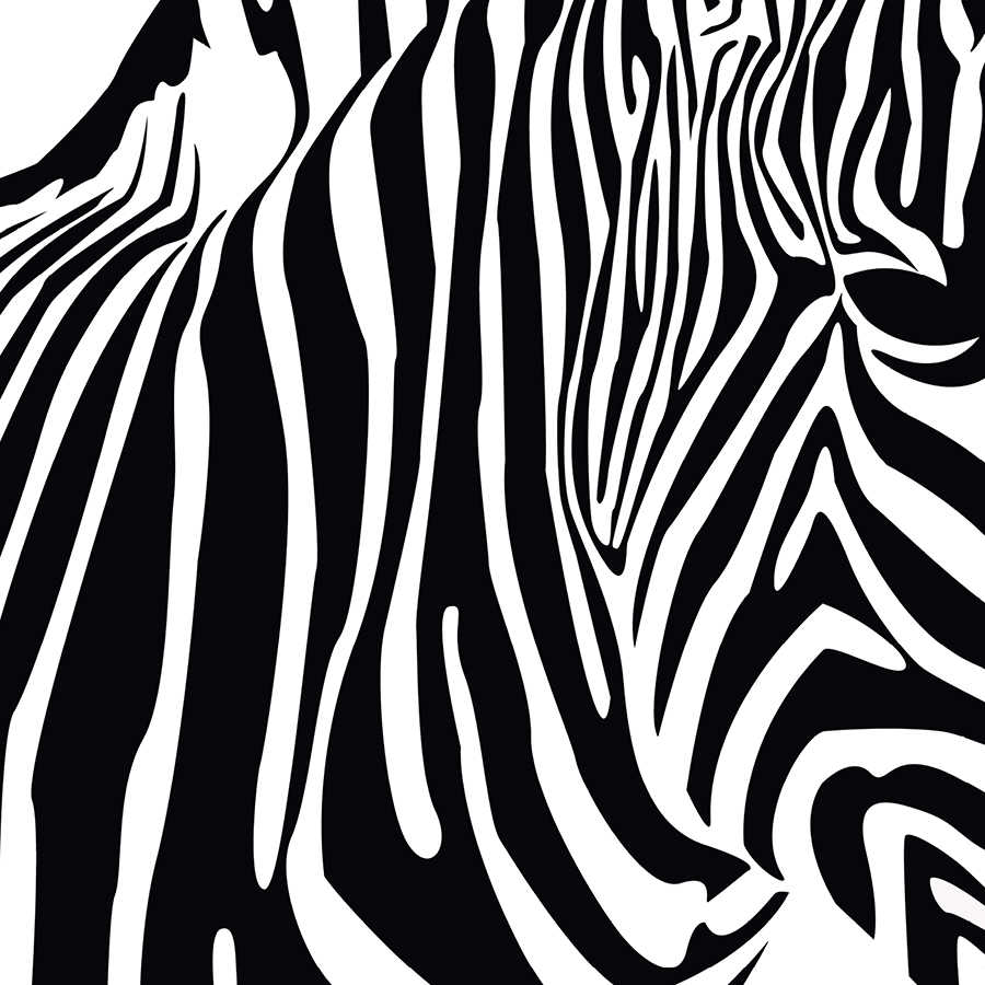 Fototapete mit Zebra Muster – Strukturiertes Vlies
