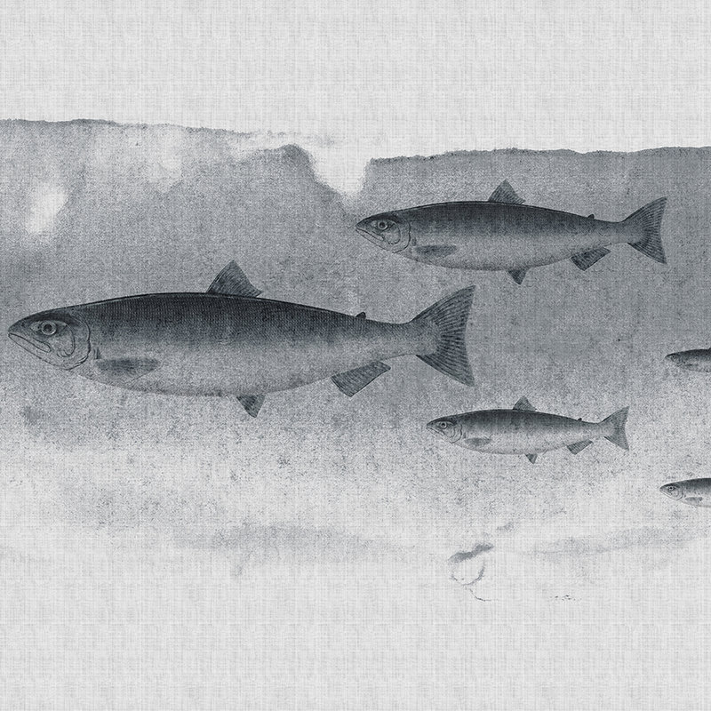 Into the blue 3 - Fisch Aquarell in Grau als Fototapete in naturleinen Struktur – Grau | Perlmutt Glattvlies
