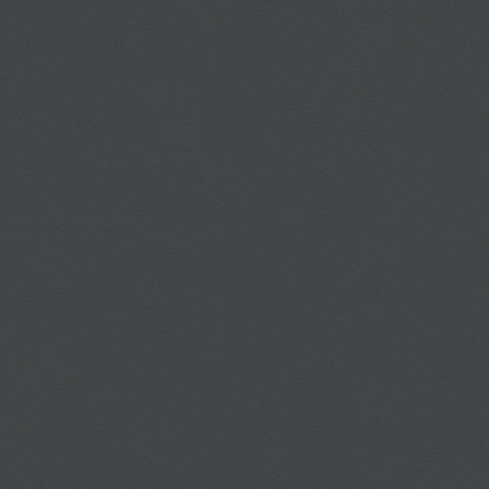         Schwarze Uni-Vliestapete mit seidenmatter Oberfläche
    