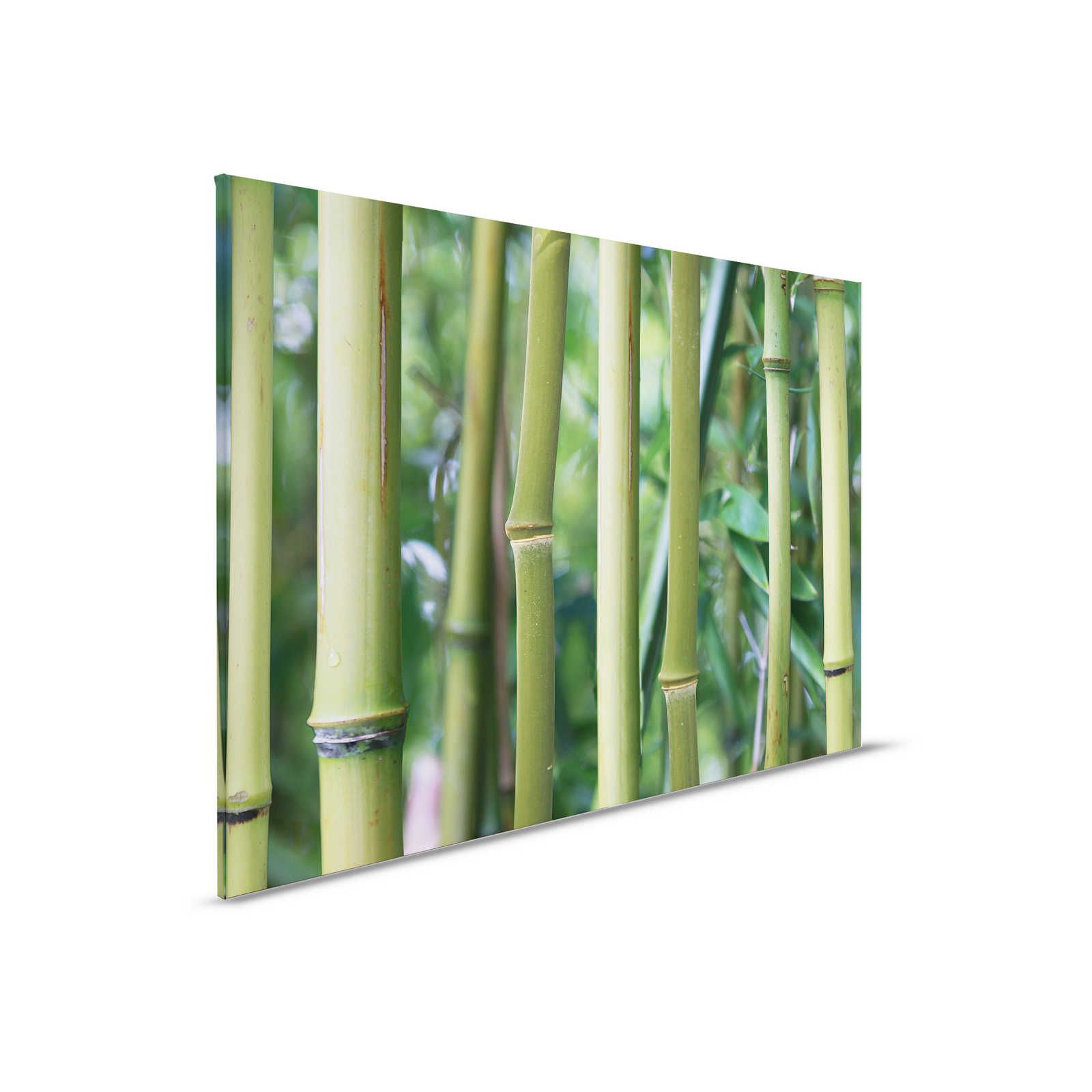         Bambus Leinwandbild Bambuswald mit Detailansicht – 0,90 m x 0,60 m
    