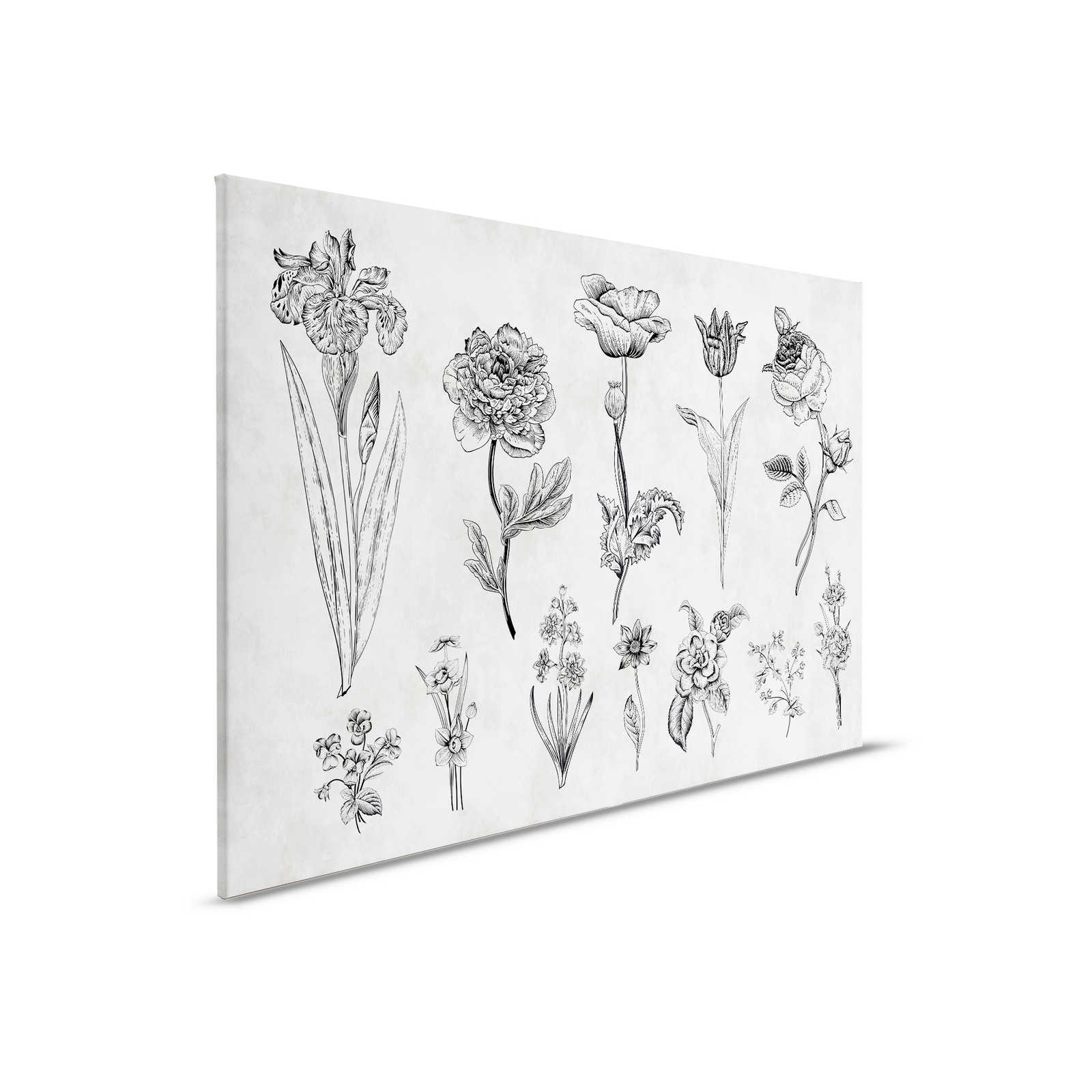         Leinwandbild Blumen im Zeichenstil – 0,90 m x 0,60 m
    