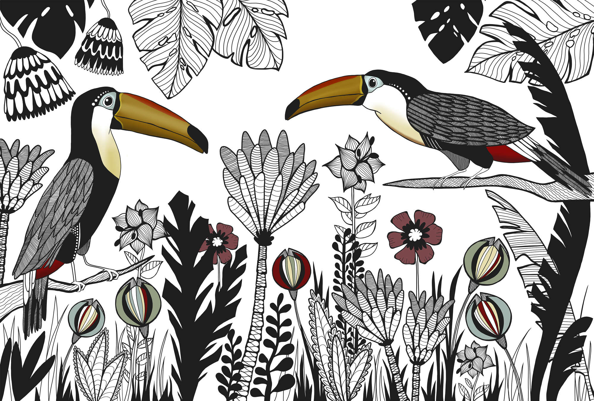             Vogel Fototapete Tukan mit tropischem Muster im Zeichenstil
        