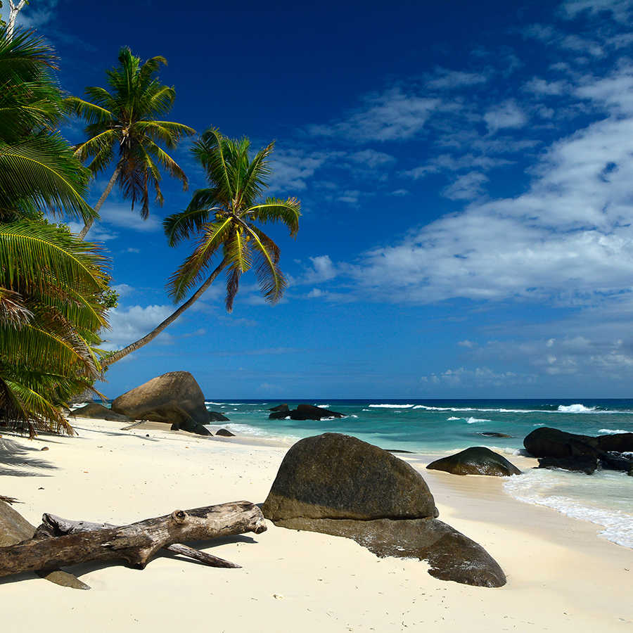 Südsee Fototapete Seychellen Palmen & Strand auf Premium Glattvlies
