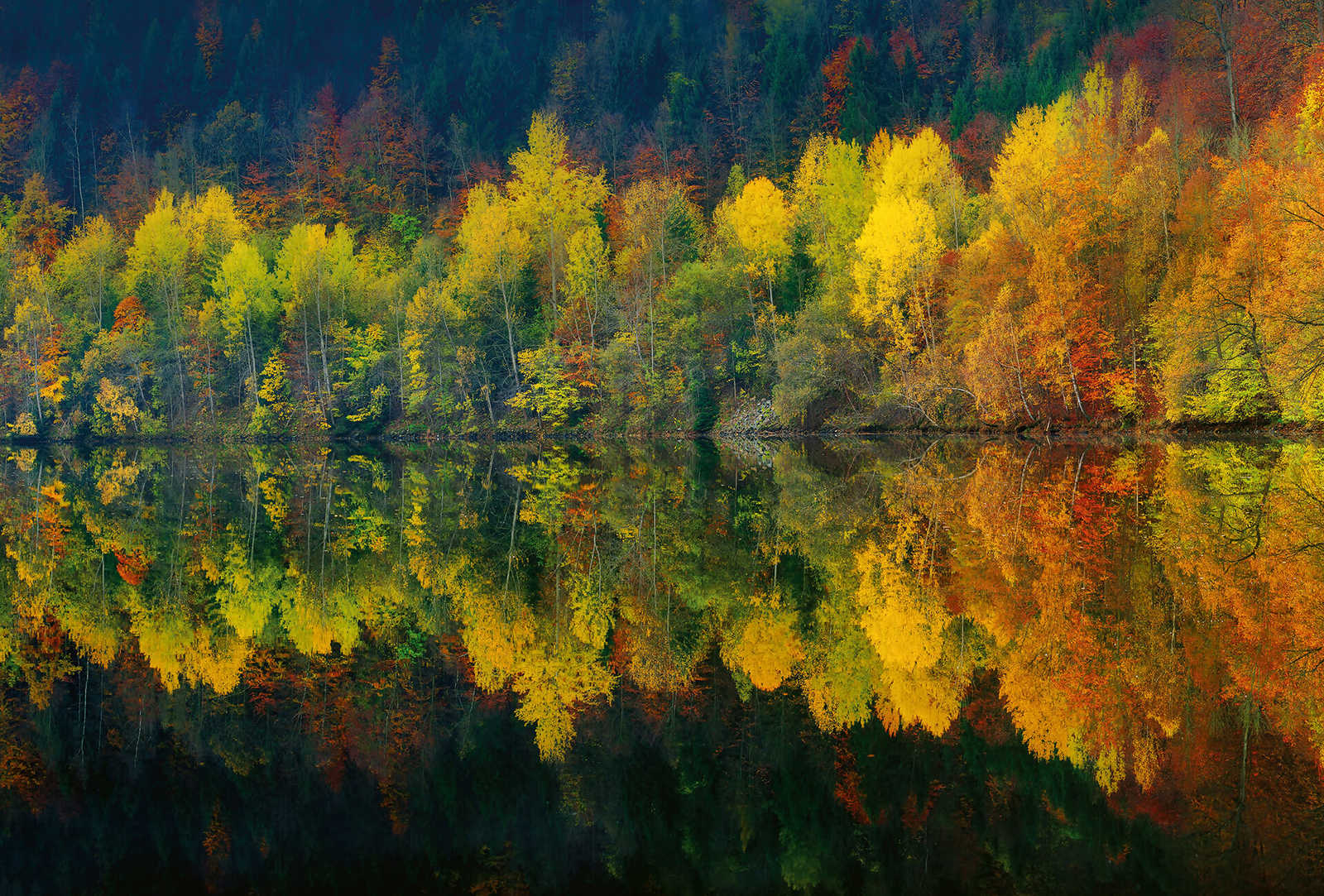 Fototapete Wald am See im Herbst – Gelb, Orange, Grün
