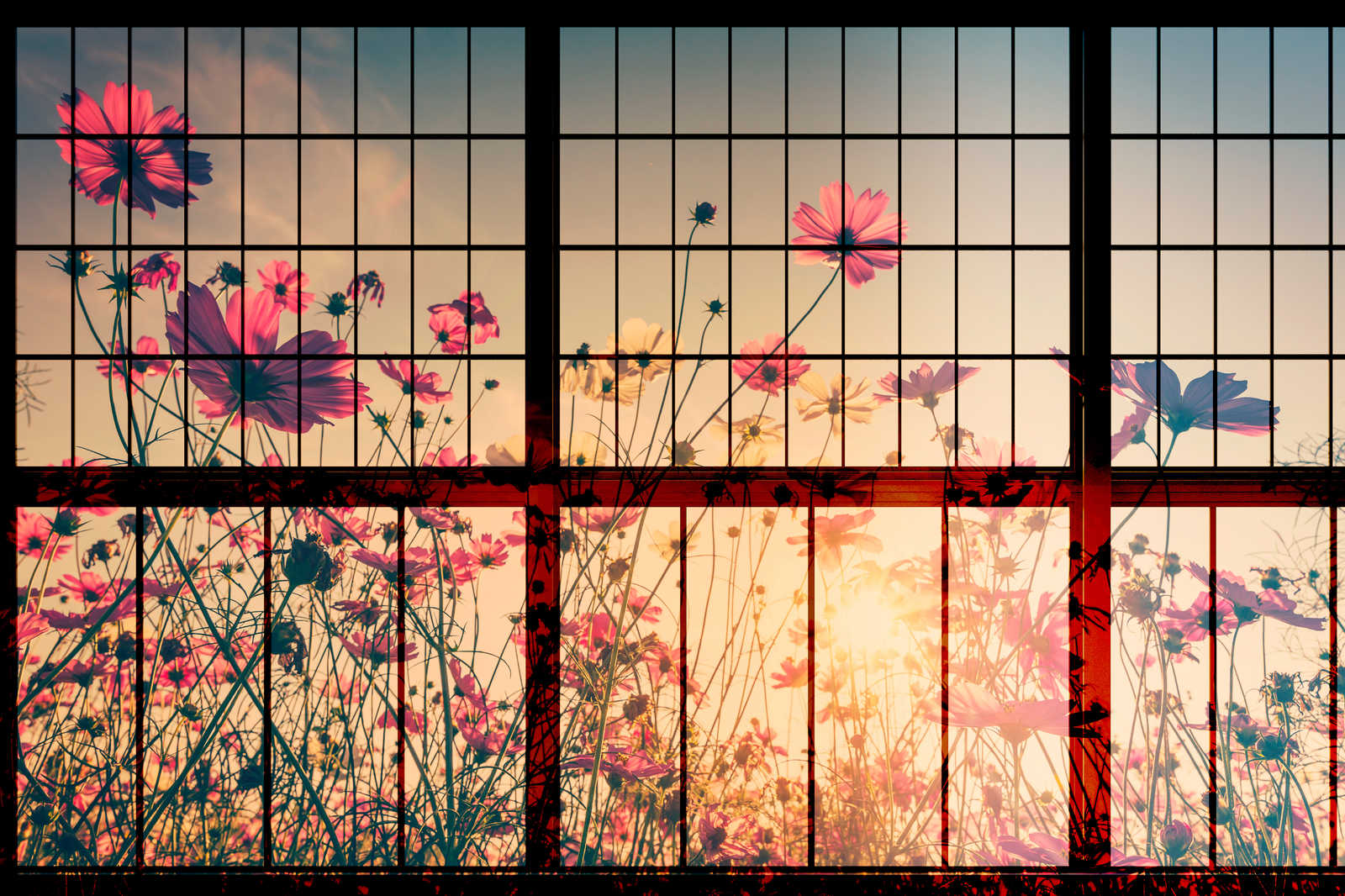             Meadow 1 - Sprossenfenster Leinwandbild mit Blumenwiese – 1,20 m x 0,80 m
        
