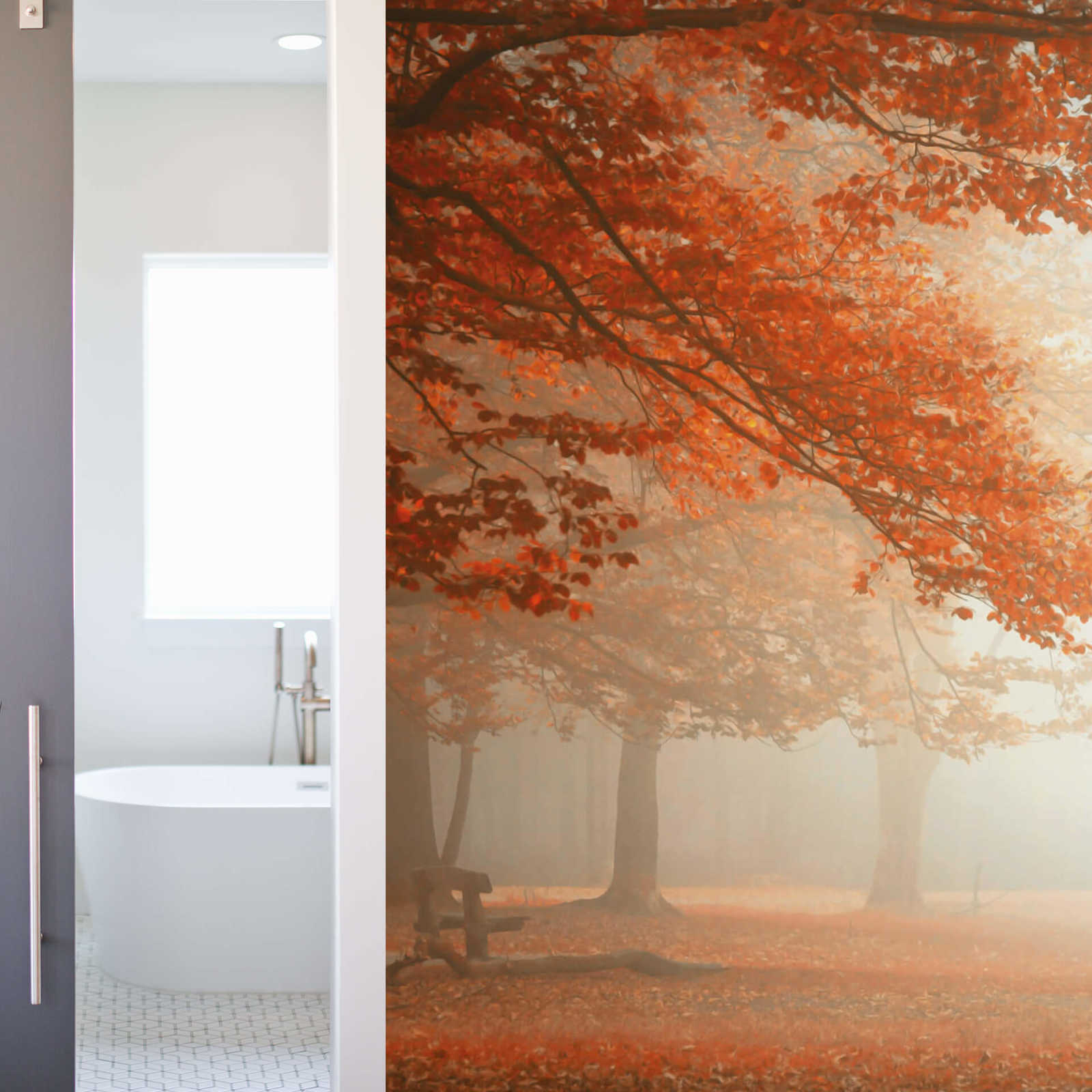            Fototapete Park im Herbst mit Nebel – Orange, Braun
        