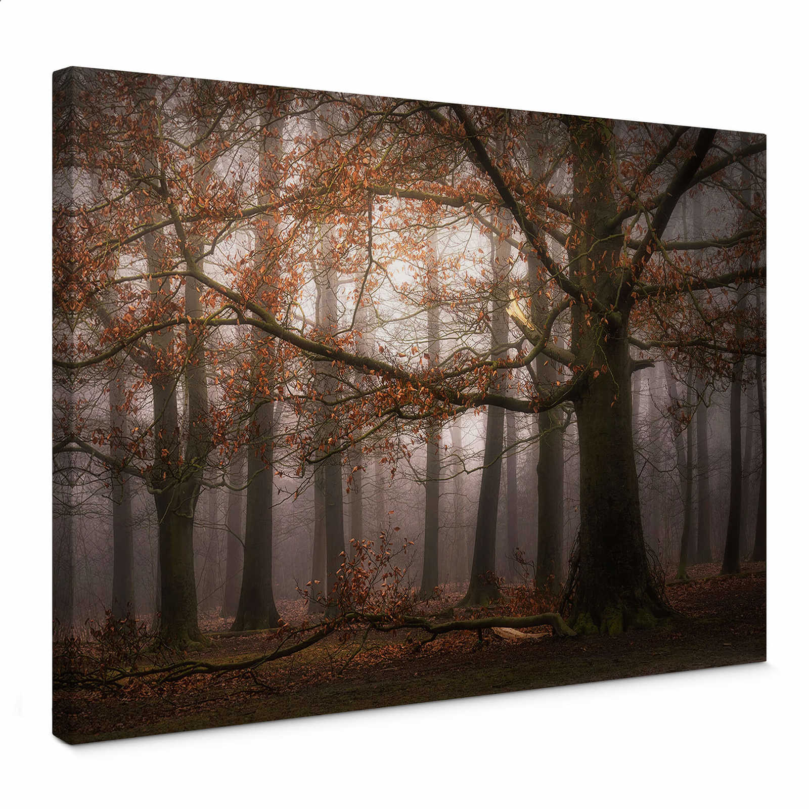 Leinwandbild mit Blätterwald im November von Digemans – 0,70 m x 0,50 m
