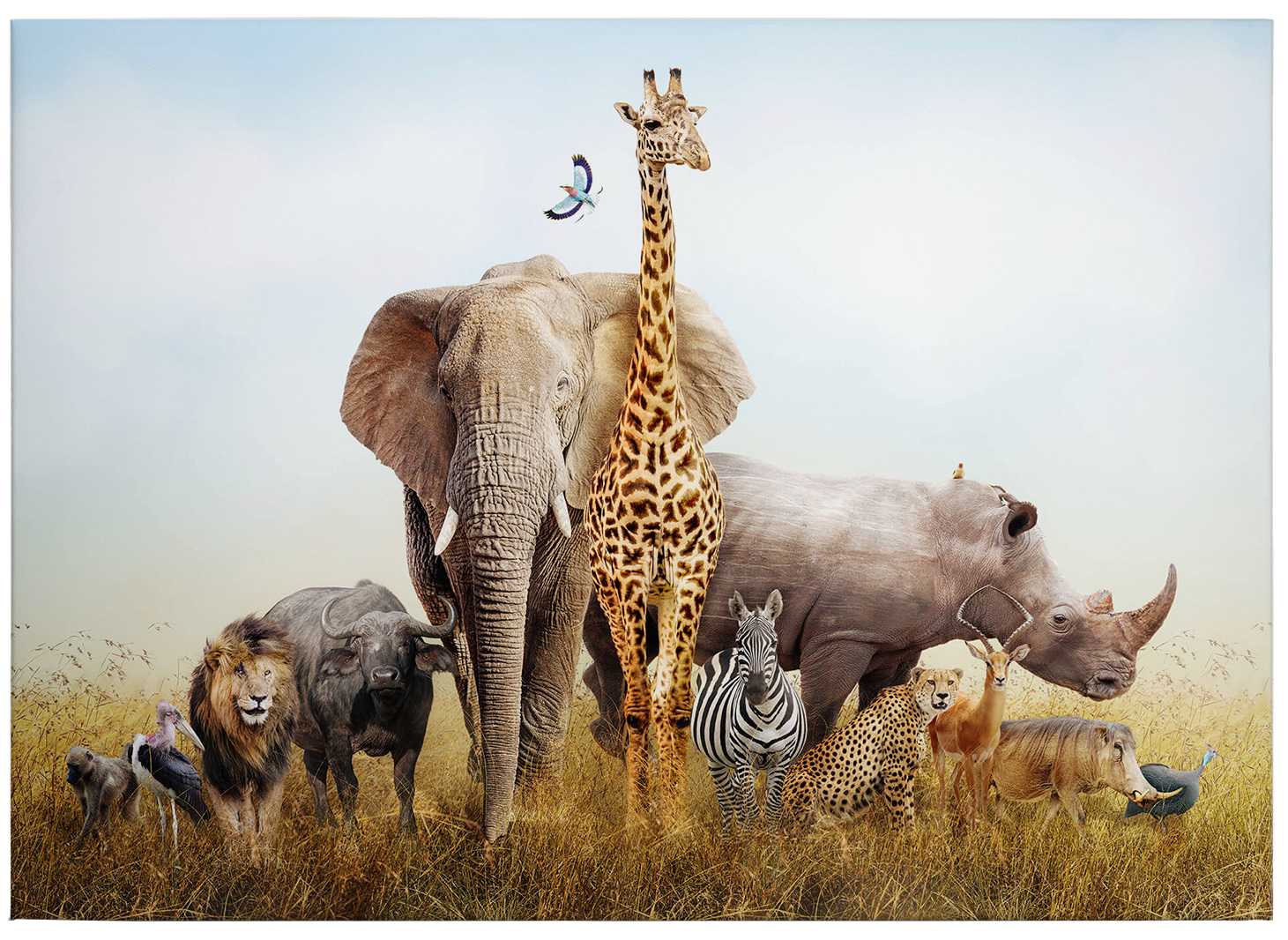             Leinwandbild Afrikanische Tiere in der Natur – 0,70 m x 0,50 m
        