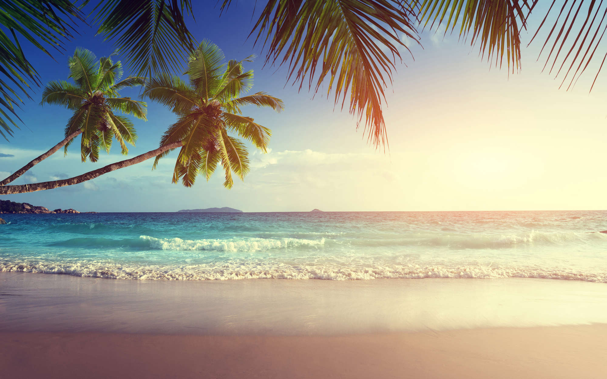             Fototapete Seychellen mit Palmen – Mattes Glattvlies
        