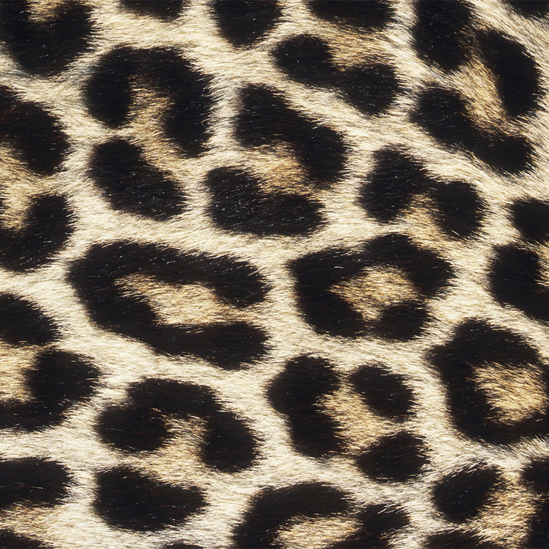 Fototapete mit Leopardenmuster – Perlmutt Glattvlies
