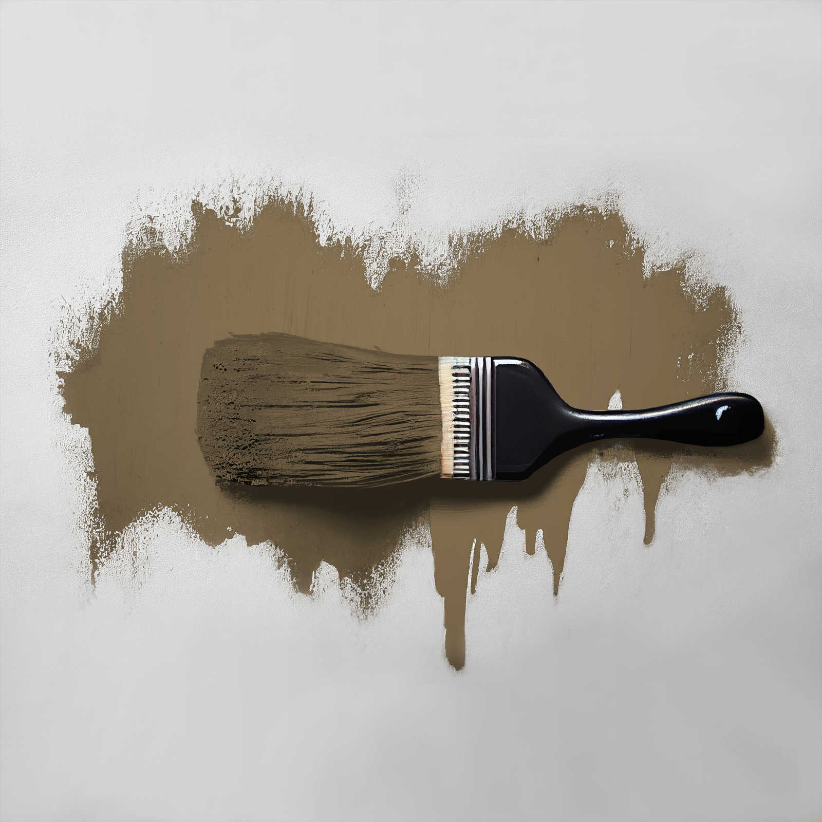             Wandfarbe in tiefem Braun »Tasty Truffle« TCK6014 – 2,5 Liter
        