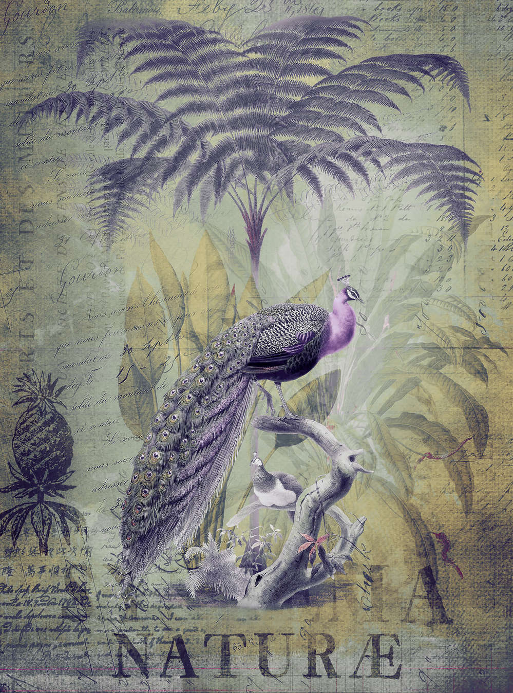             Vintage Fototapete Botanik Print Stil mit violettem Pfau
        