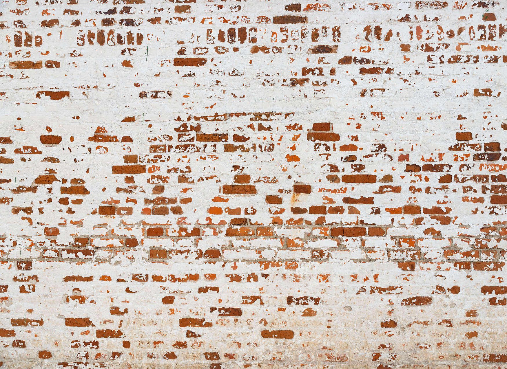             Fototapete Backsteinmauer mit 3D Effekt – Weiß, Braun, Rot
        