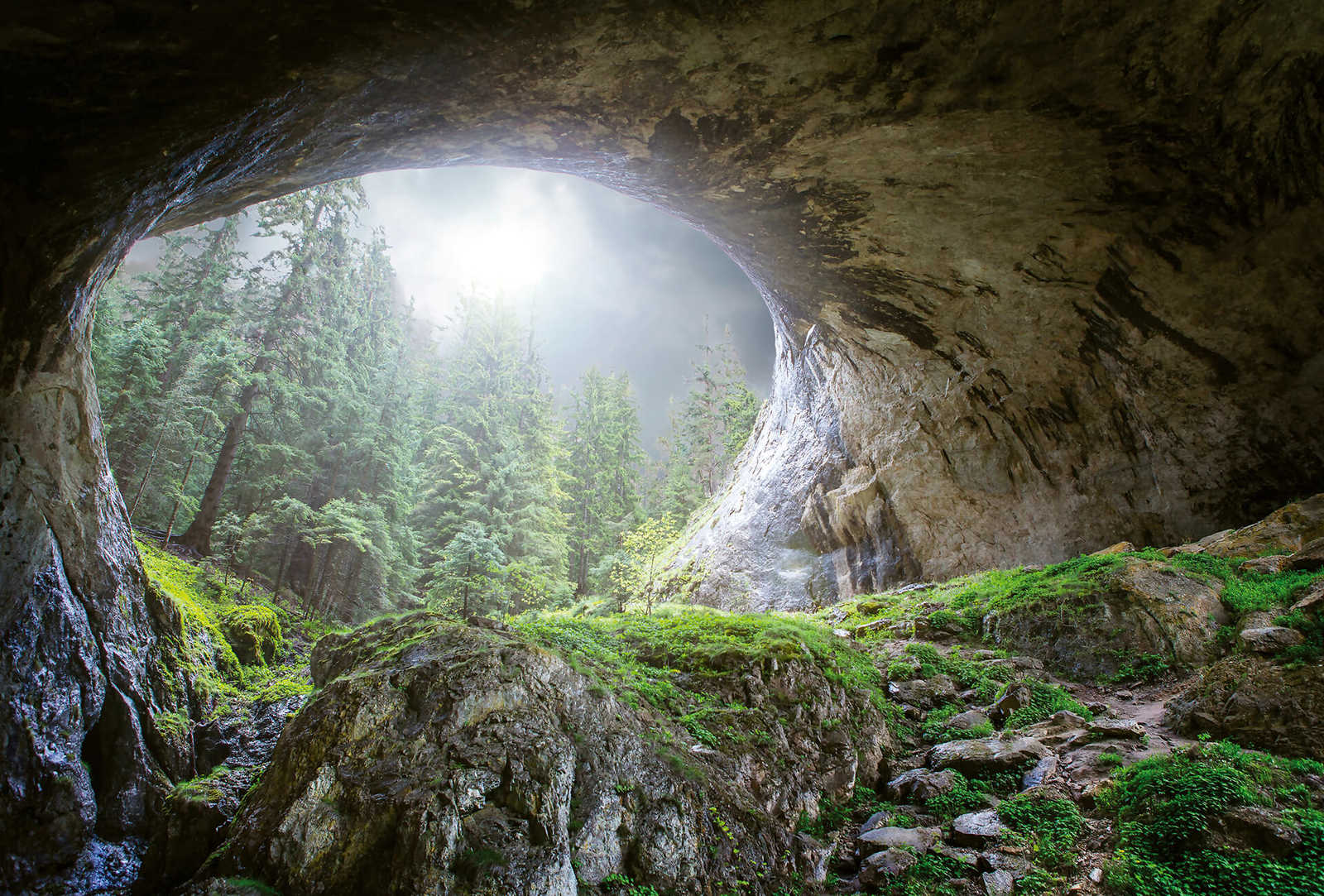 Natur Fototapete Höhle im Wald – Grün, Grau, Braun
