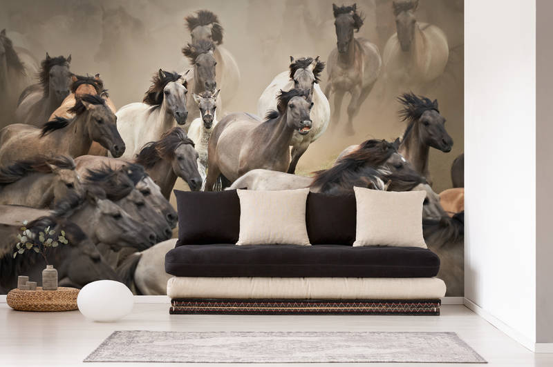             Fototapete galoppierende Wildpferde – Mustangs
        