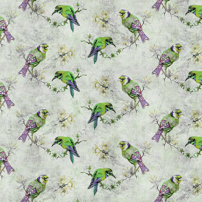 Love birds 2 - Bunte Fototapete in kratzer Struktur mit skizzierten Vögeln – Grau, Grün | Perlmutt Glattvlies
