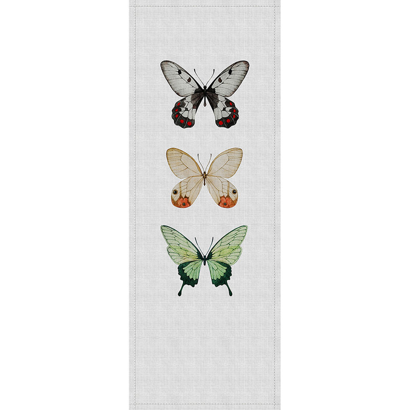         Buzz panels 2 - Fotopaneel in naturleinen Struktur mit bunten Schmetterlinge – Grau, Grün | Premium Glattvlies
    