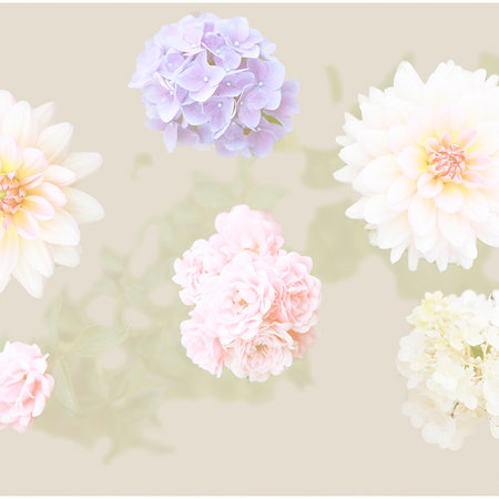         Blumen Fototapete Pastell Farbe & XXL Blüten
    