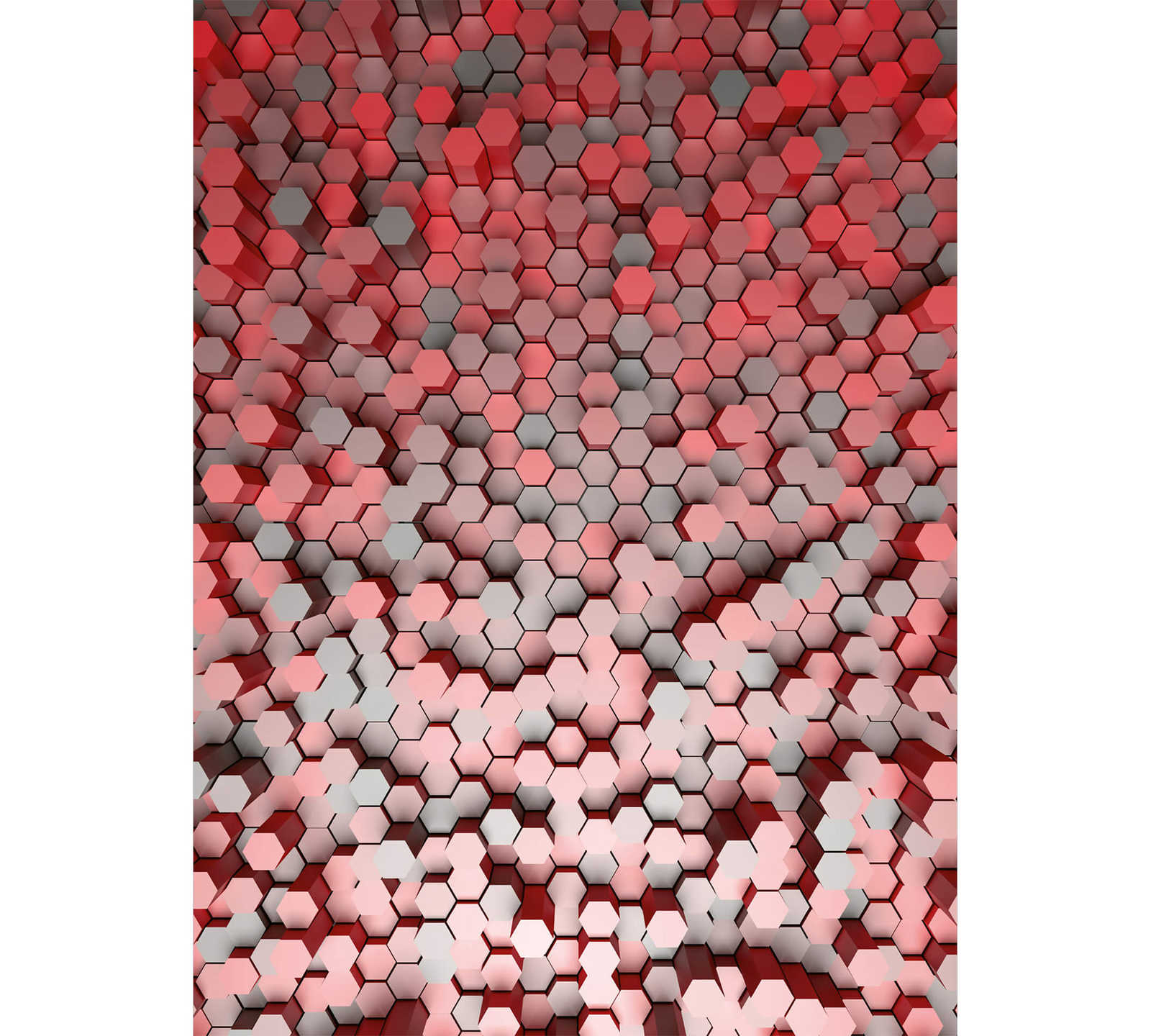         3D Fototapete Hexagon Grafik-Design – Rot, Grau
    