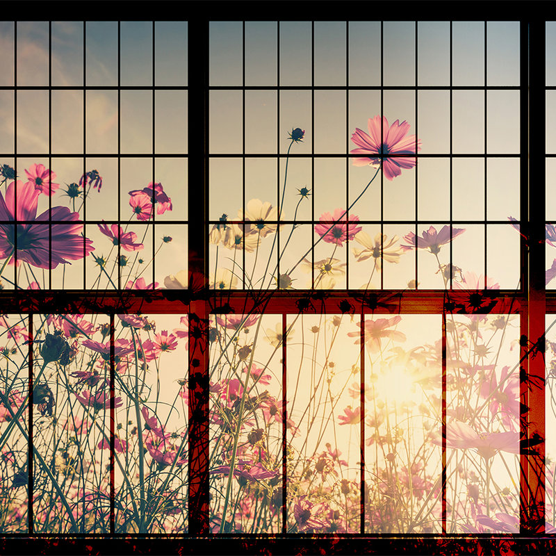 Meadow 1 - Sprossenfenster Fototapete mit Blumenwiese – Grün, Rosa | Struktur Vlies
