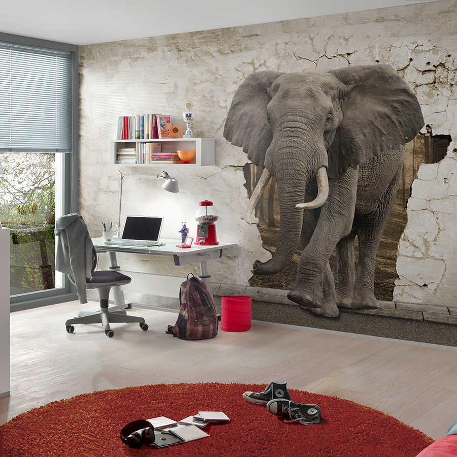         Tier Motiv Fototapete Elefant in der Wand auf Premium Glattvlies
    
