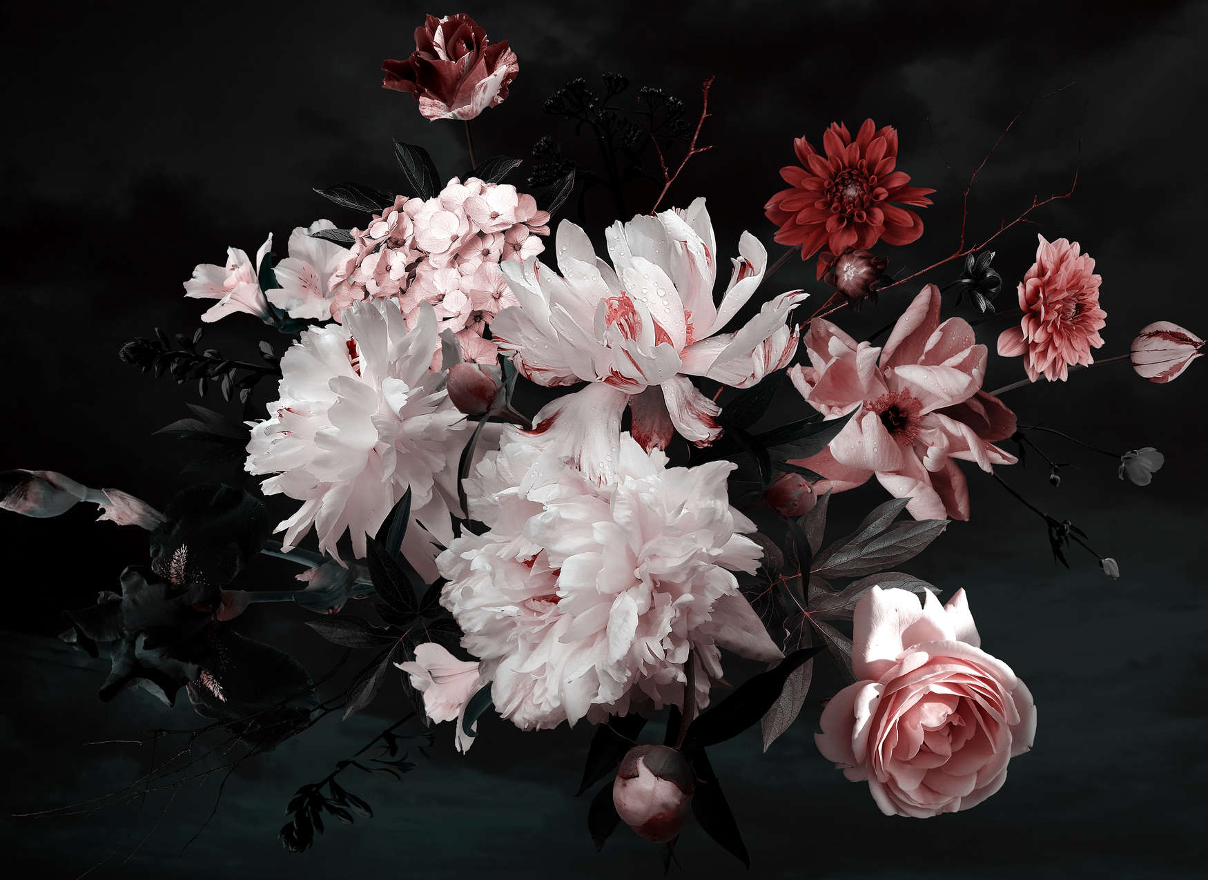             Blumenstrauß Fototapete – Weiß, Rosa, Schwarz
        
