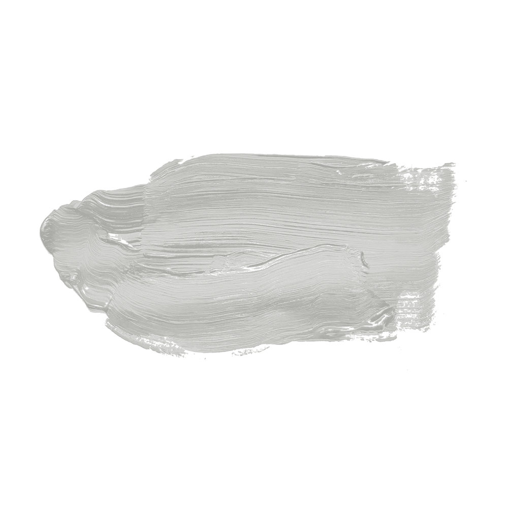             Wandfarbe in bläulichem Grau »Pure Pitaya« TCK1003 – 5 Liter
        