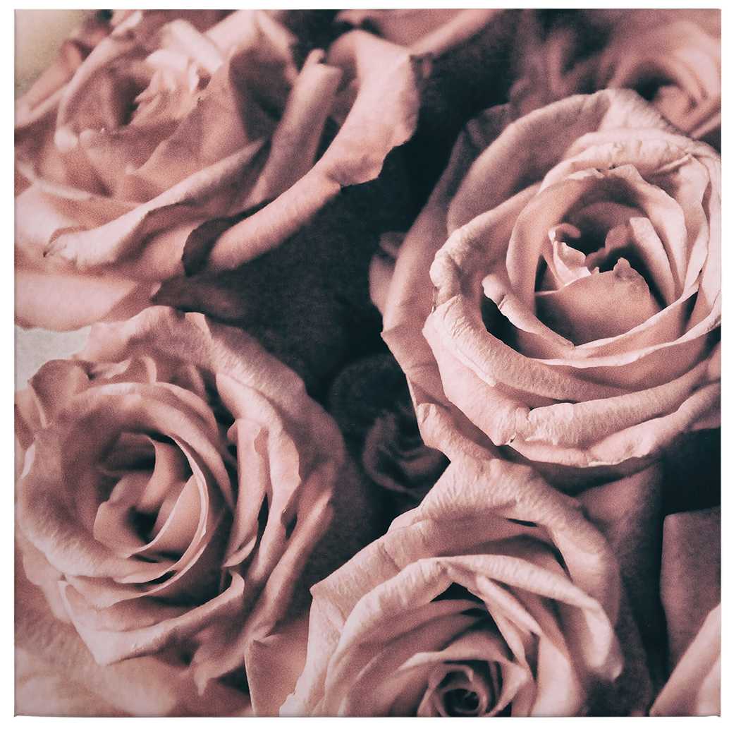            Leinwandbild Rosen Blütenmotiv im Vintage Stil – 0,50 m x 0,50 m
        