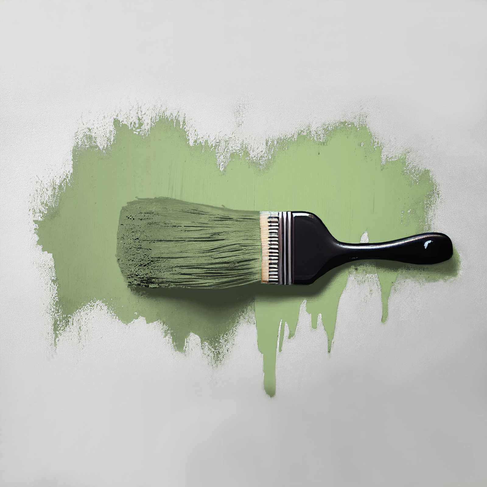             Wandfarbe in lebendigem Grün »Green Grape« TCK4008 – 5 Liter
        