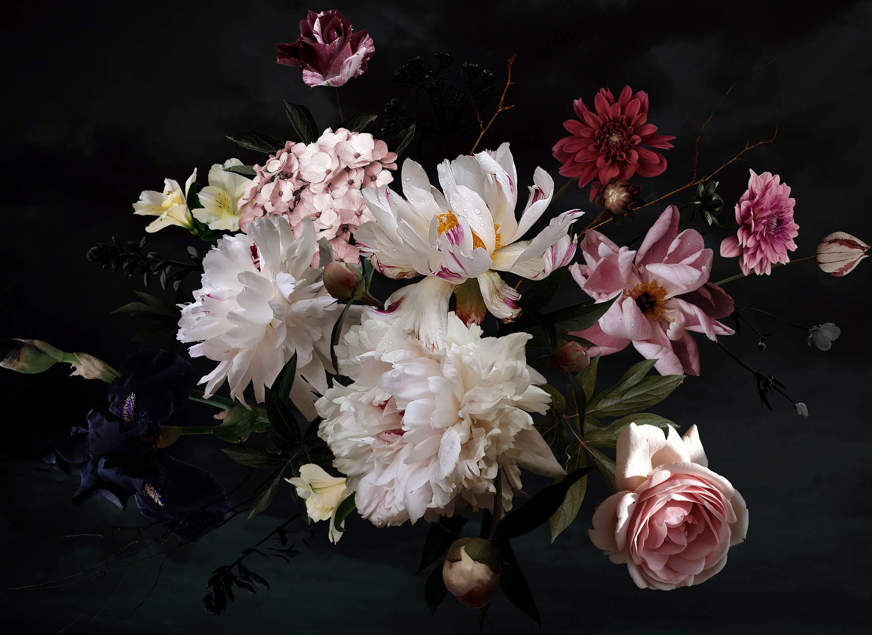             Fototapete Blumenstrauß – Weiß, Rosa, Schwarz
        